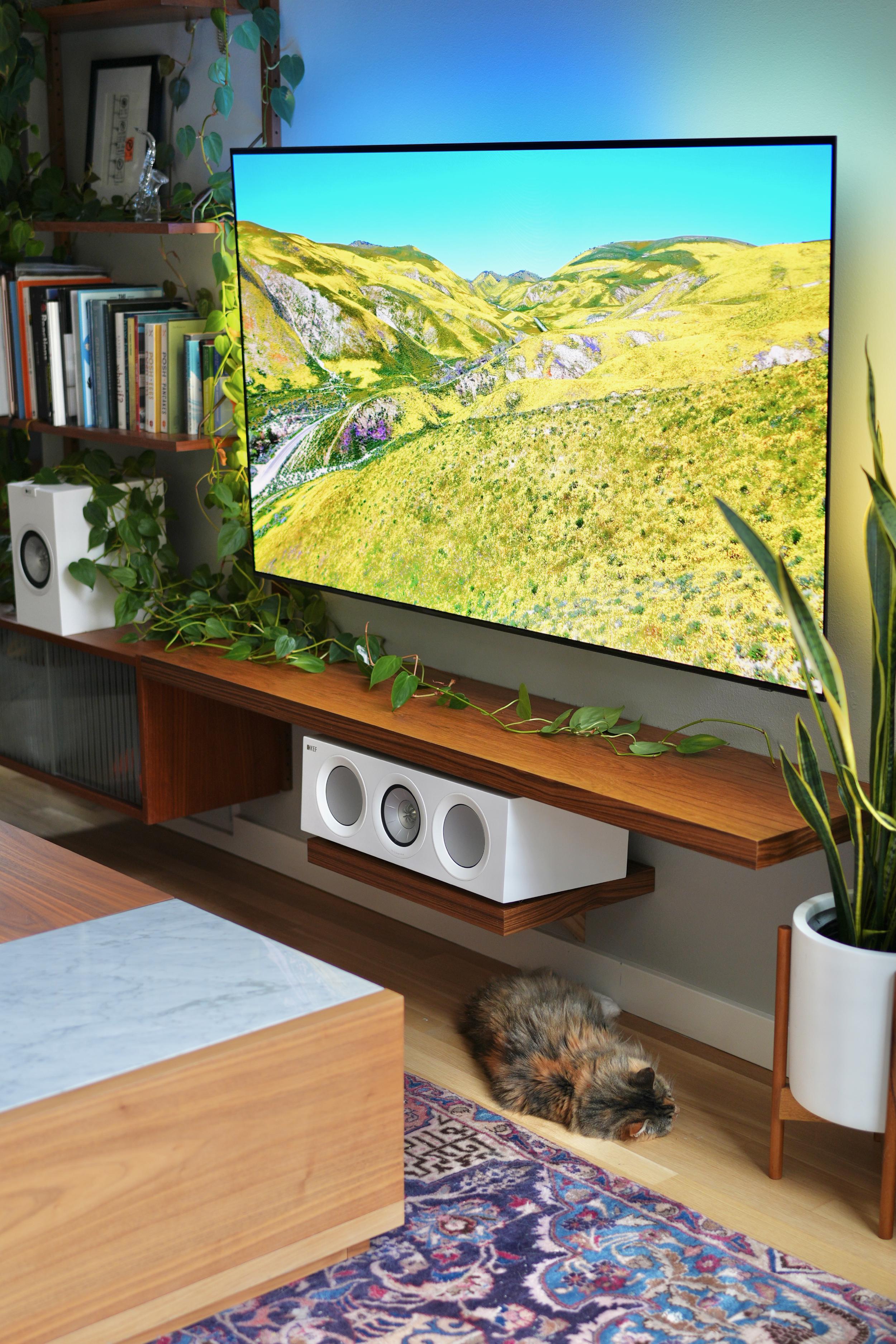 Picture of my TV and cat being comfortable