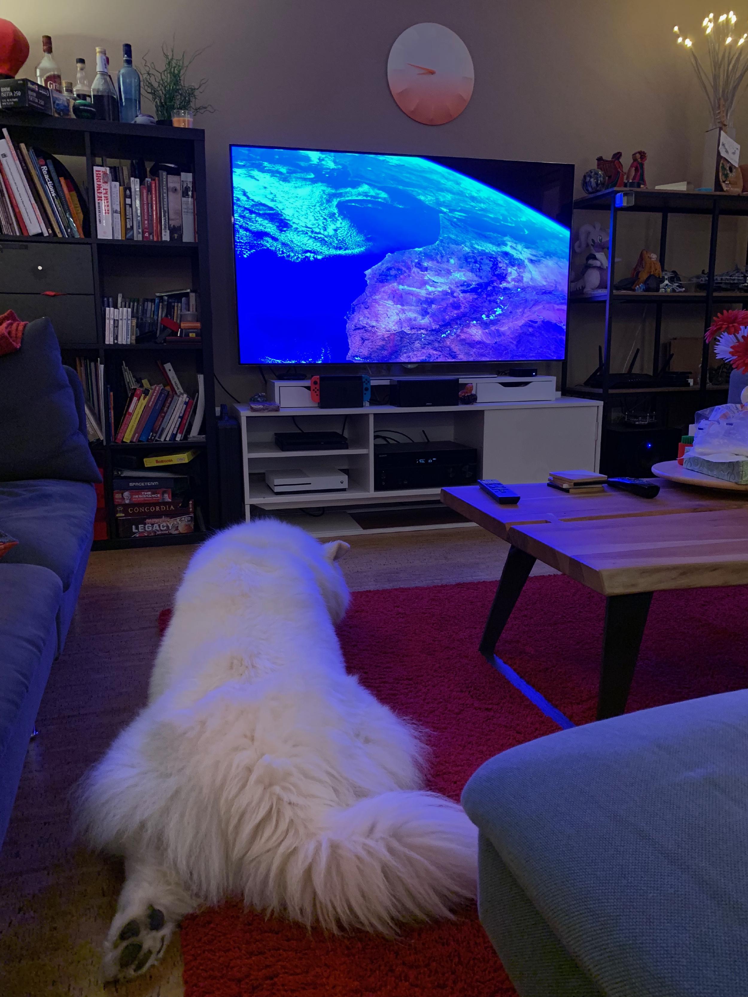 Living room overview with Hue-lit lamps, TV idle, and the automation rack tucked away